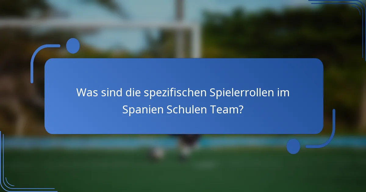 Was sind die spezifischen Spielerrollen im Spanien Schulen Team?